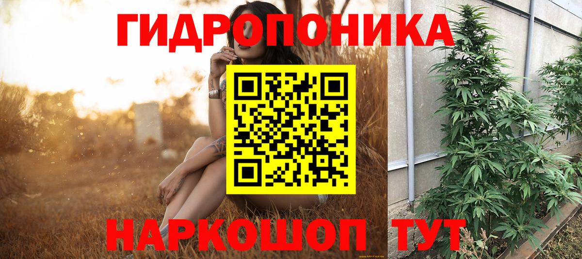 Конопля Ganja  Канабис планчик  Полысаево  Вход с VPN  Бошки Шишки MAZAR 